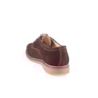 006 SH200 C Castanho4_1-4